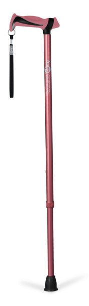 Hugo Derby Cane