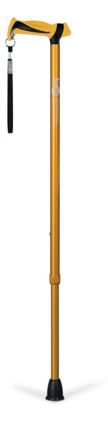 Hugo Derby Cane